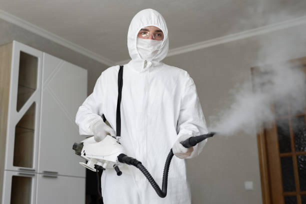 Best Mold Remediation for Healthcare Facilities in Catasauqua, PA